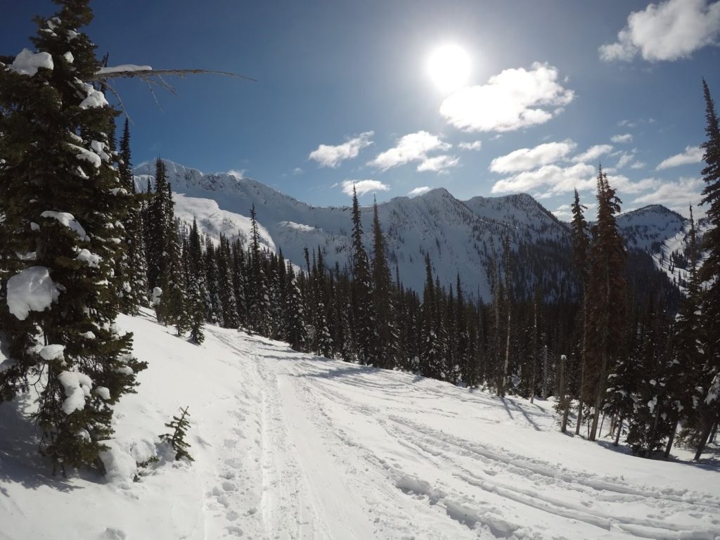 backcountry skiing skin track